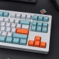 Salmon 104+9 GMK ABS Doubleshot Double Shot Keycaps Set for Cherry MX Mechanical Gaming Keyboard
